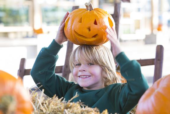 Halloween | De Soeten Haert